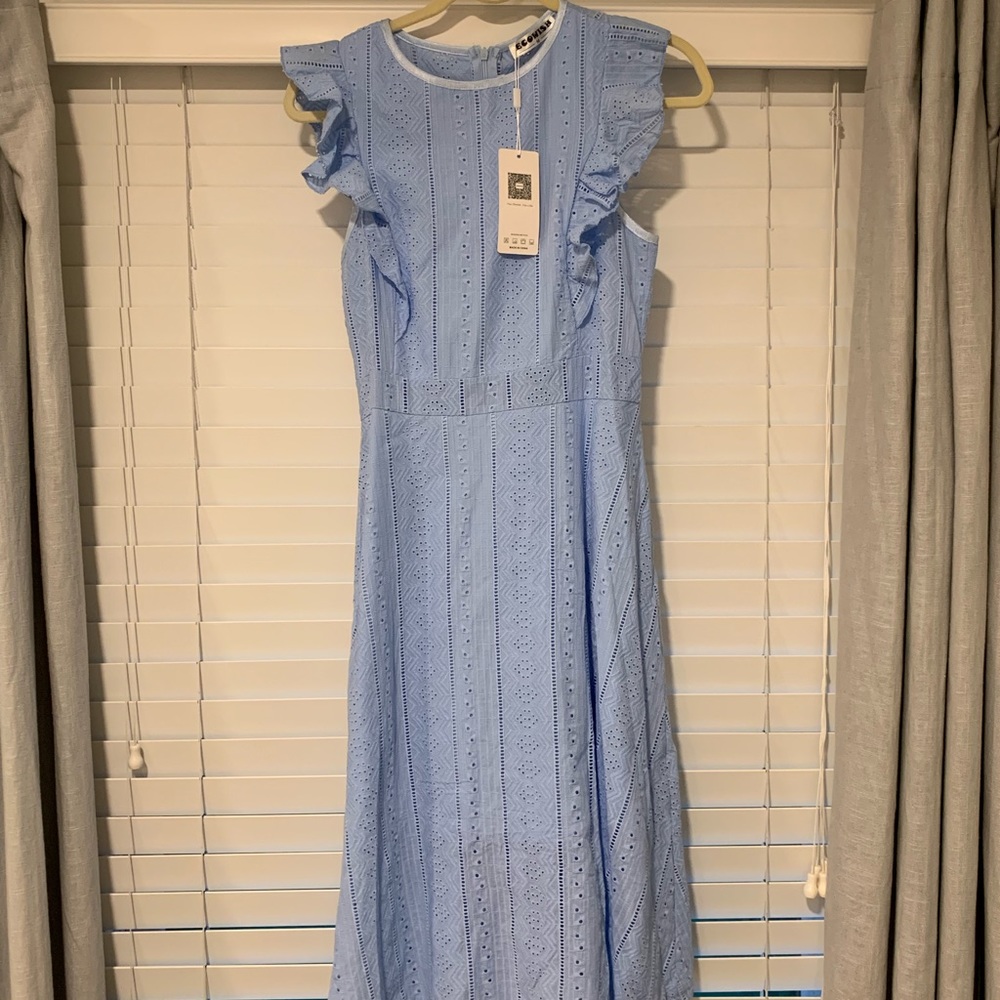 NWT light blue eyelet dress with ruffle sleeves!